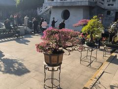 -惠州西湖丰渚园