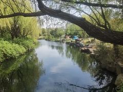 -上海滨江森林公园