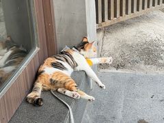 -Again Coffee Roaster(香蜜湖店)