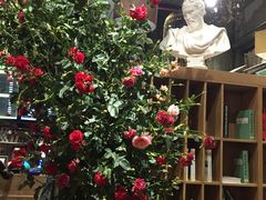 -范设计花园餐酒咖·中西餐·咖啡厅·酒馆