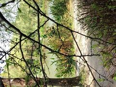 -新江湾城公园