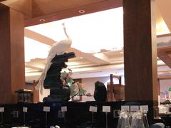 -九华山聚龙大酒店