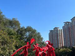 -北陵公园