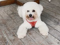 -素心小筑(后沙裕镇店)