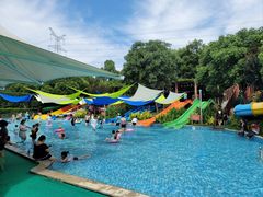 -苏州乐园森林水世界