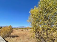 -野鸭湖国家湿地公园