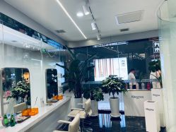 -时尚殿堂salon