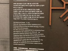 -雪绿茶博物馆