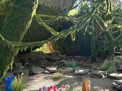 -沂蒙云瀑洞天景区