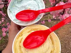 -DQ·蛋糕·冰淇淋(高新万达店)
