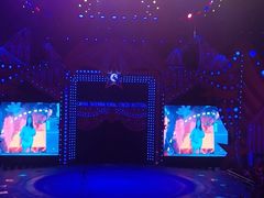 -珠海横琴长隆《卡卡虎奇遇记》