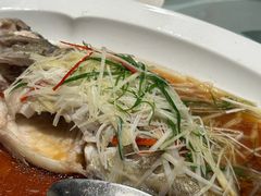 清蒸鲈鱼-锦庐道地川菜(来福士店)