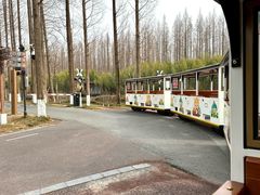 -黄海国家森林公园