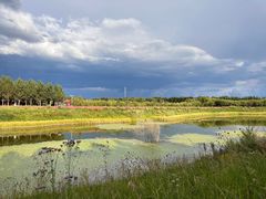 -塞罕坝国家级自然保护区