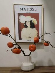 -FUMEIHUI·科技美肤·美体SPA