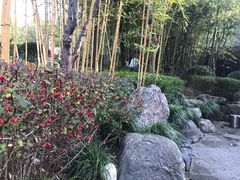 -楼观道温泉酒店