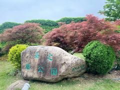 -嘉定紫藤园