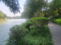 -桂林市榕杉湖景区