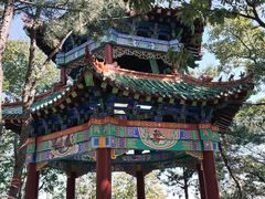 -沂蒙山旅游区云蒙景区(蒙山国家森林公园)