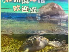 -苏州海洋馆