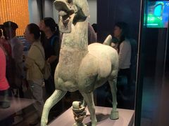 -广西壮族自治区博物馆