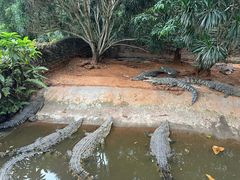 -海南热带野生动植物园