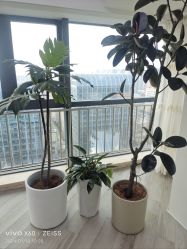 -HEYAN荷妍专业脱毛连锁机构