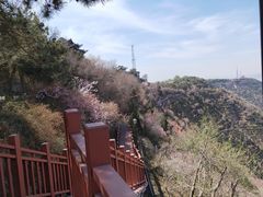 -兰山公园