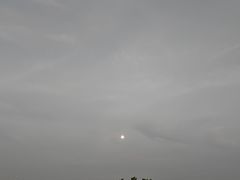 -深圳湾公园(南山区)