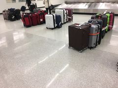 行李提取-华盛顿杜勒斯国际机场