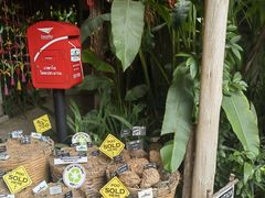 -大象粑粑造纸公园