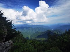 -牛背梁国家森林公园