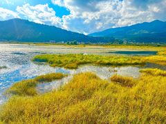 -腾冲北海湿地