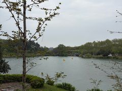 -宜兴龙背山森林公园