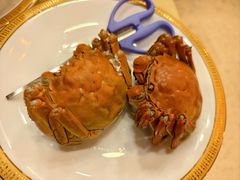 -王宝和酒家(黄浦店)