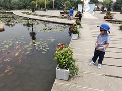 -白马涧龙池景区