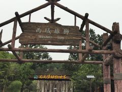 -太湖龙之梦