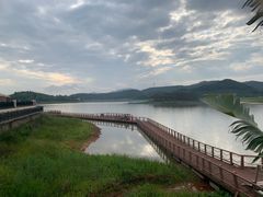 -美的鹭湖森林度假区