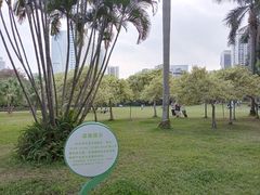 -东风公园