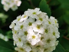 -上海滨江森林公园