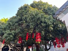 -广州神农草堂中医药博物馆