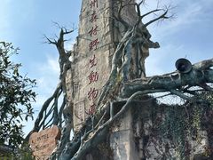 -贵州森林野生动物园