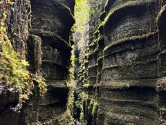 -梭布垭石林景区