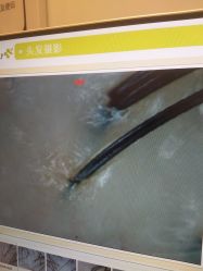 -LESSMORE科技头皮理容中心