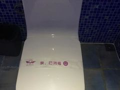 -天鹅恋
