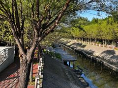 -大望京公园
