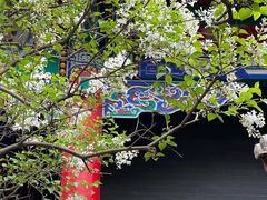 -碑林公园