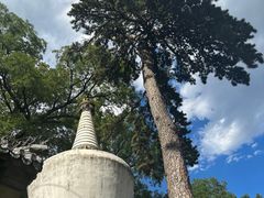 -潭柘寺景区