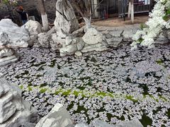 -张学良旧居陈列馆