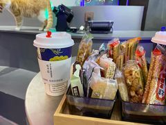 -极木²邸 人与宠物·互动社区